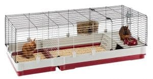 cage lapin grande taille